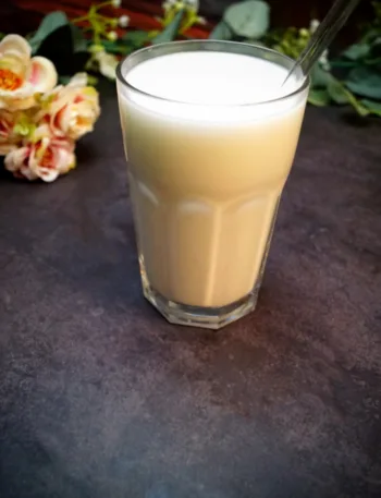 Ayran selbstgemacht, Keto, Low Carb, Joghurt selbstgemacht, fermentieren, Rezept