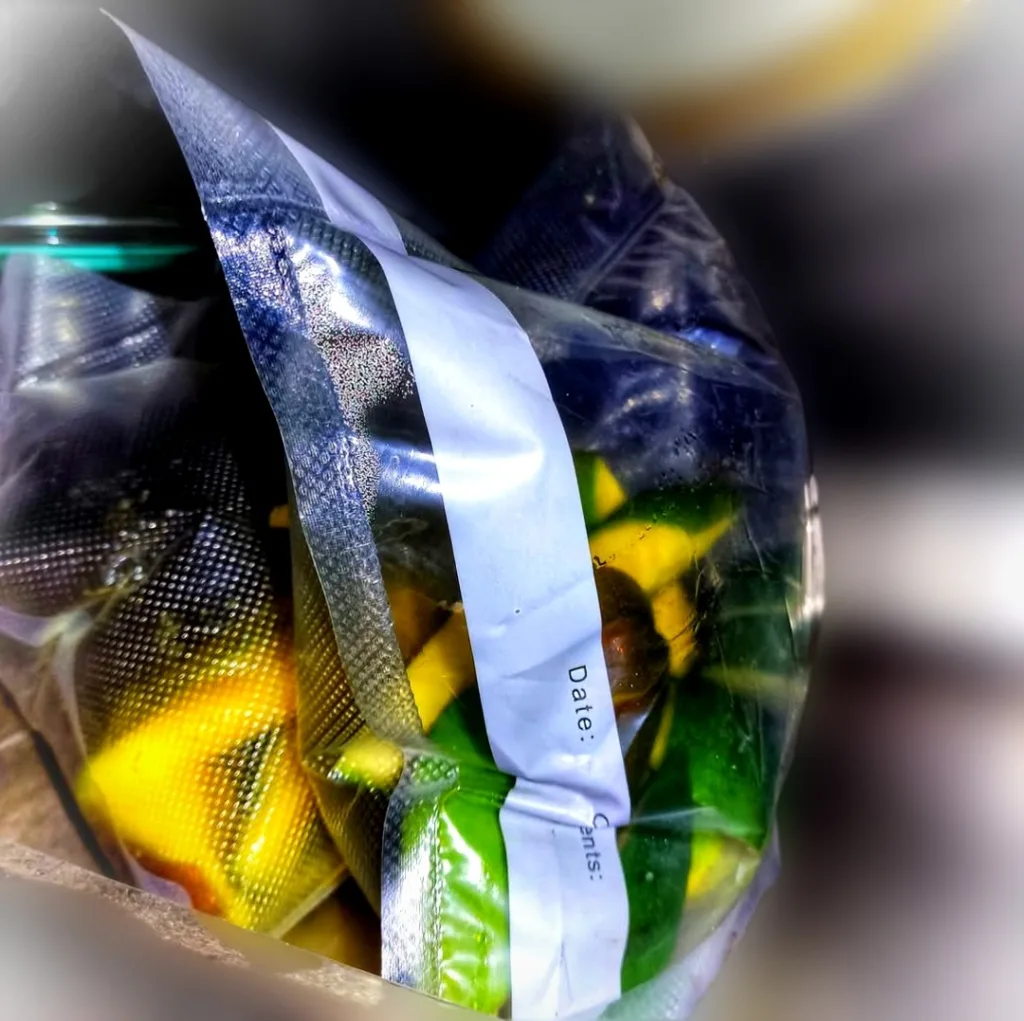 Obst Fermente in der Keto Küche 9 Obst Fermente in der Keto Küche Obst fermentieren, Anleitung, Vakuum, Keto