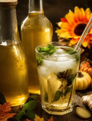 Keto, Limonade, Zitrone, Ingwer, Minze, Zitronen Ingwer Limonade, KetoChameleons
