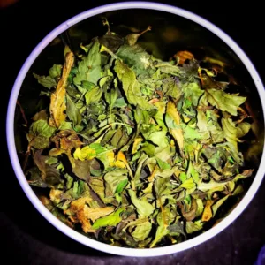 Kräuter und Tee fermentieren 3 Kräuter und Tee fermentieren Tee aus Kräutern selbst fermentieren