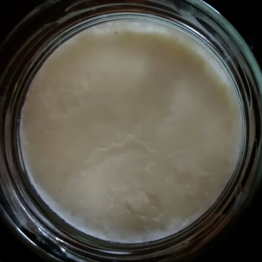 Milchkefir, Joghurt und Co 14 Milchkefir, Joghurt und Co Joghurtselbst machen, Anleitung, fermentieren, Keto