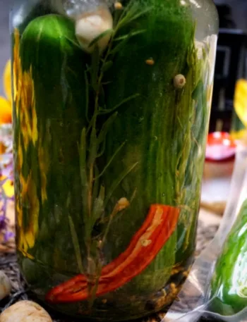 Gurke fermentieren, Keto, Anleitung, Rezepte