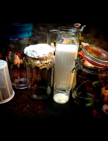 Milchkefir selbst machen, Anleitung, fermentieren, Keto