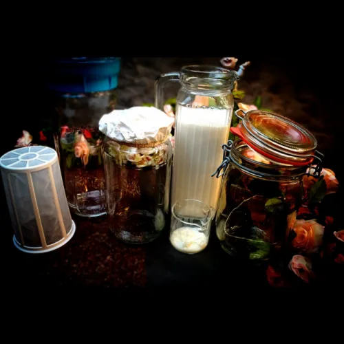 Milchkefir selbst machen, Anleitung, fermentieren, Keto