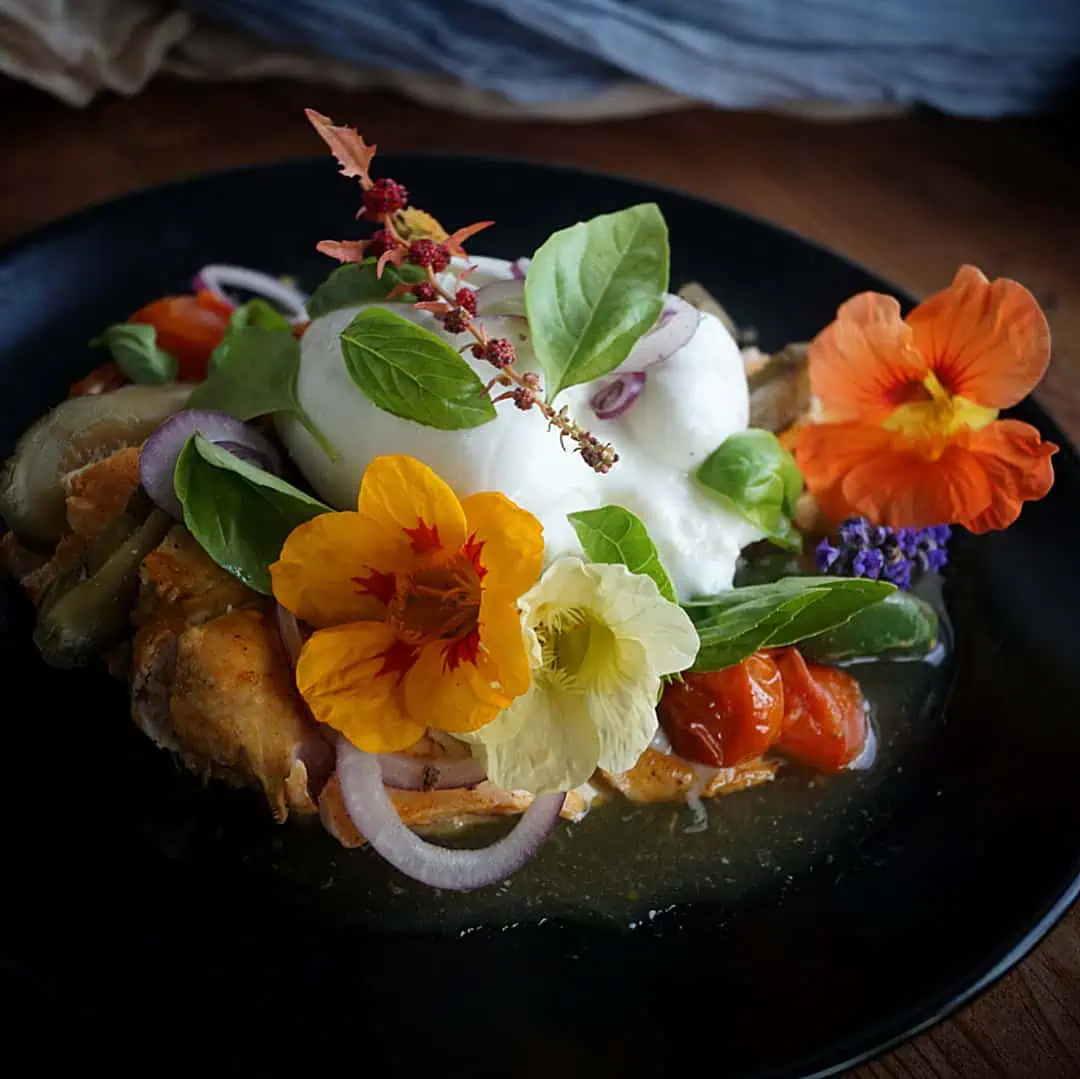 Keto Hähnchen Mit Geschmolzenen Tomaten, Burrata &amp; Kräutern – Vom Grill ...