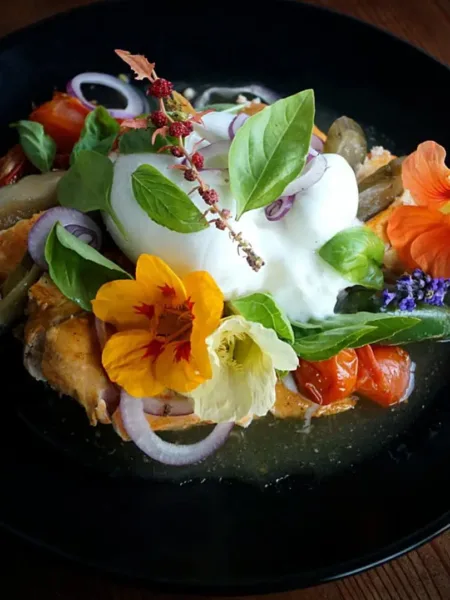 Keto Hähnchen mit geschmolzenen Tomaten, Burrata & Kräutern – vom Grill oder aus dem Ninja Woodfire 15 Keto Hähnchen mit geschmolzenen Tomaten, Burrata & Kräutern – vom Grill oder aus dem Ninja Woodfire Keto Haehnchen mit geschmolzenen Tomaten und Burrate1 Zart gegrilltes Hähnchen aus dem Woodfire-Ofen, kombiniert mit geschmolzenen Tomaten, cremiger Burrata und frischen Kräutern. Edle Blüten sorgen für Farbe, Aroma und einen Hauch Raffinesse. Dieser Keto-Teller ist nicht nur Low Carb, sondern auch ein echtes Geschmackserlebnis für alle, die Feuer, Rauch und Frische lieben.