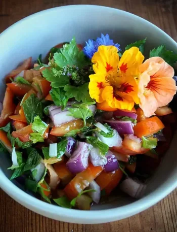 Keto Tomaten Salsa aus dem Garten