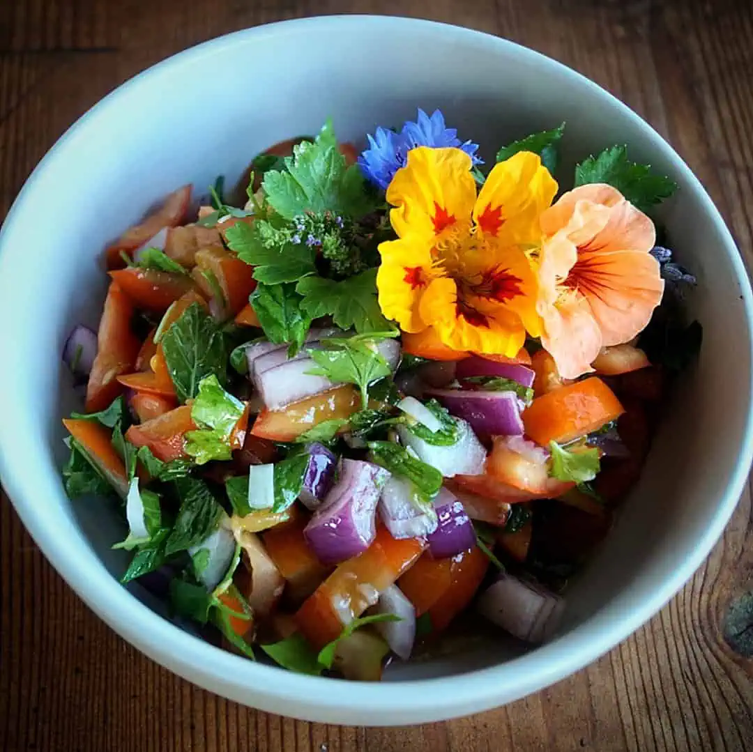 Keto Tomaten Salsa aus dem Garten