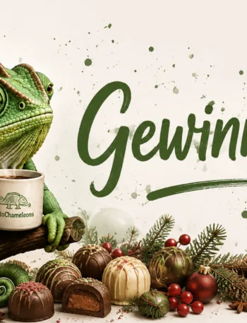 Gewinnspiel Popup, KetoChameleons, Weihnachten 2026